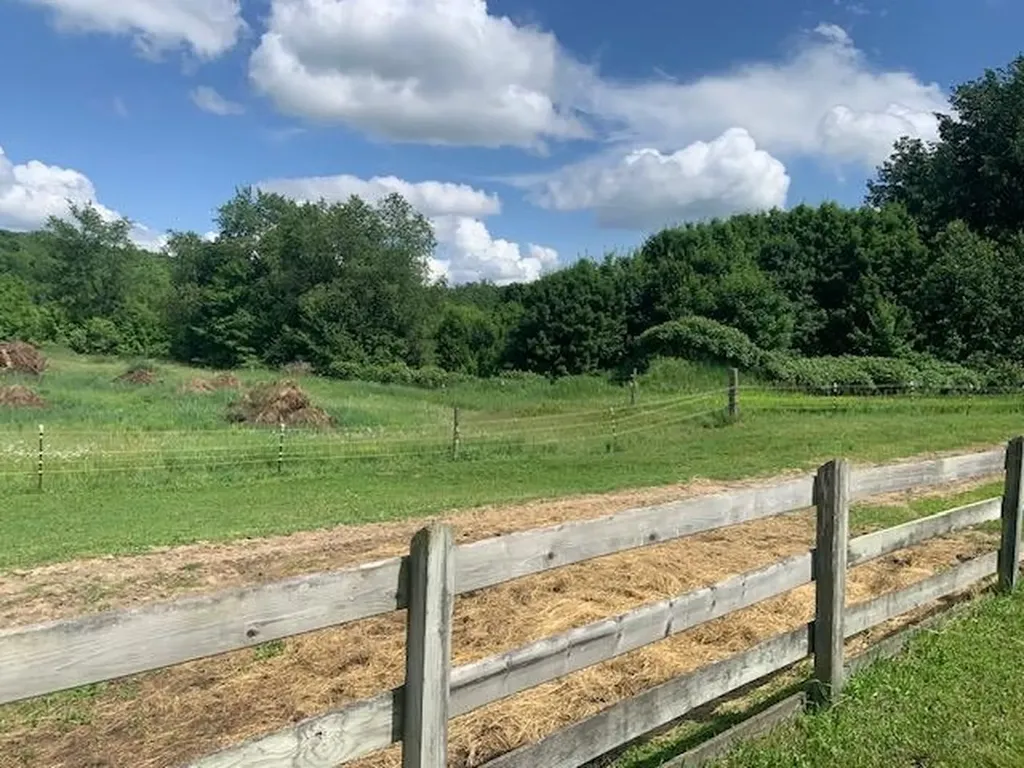 00 Shumaker Road Kearney Township MI 49615