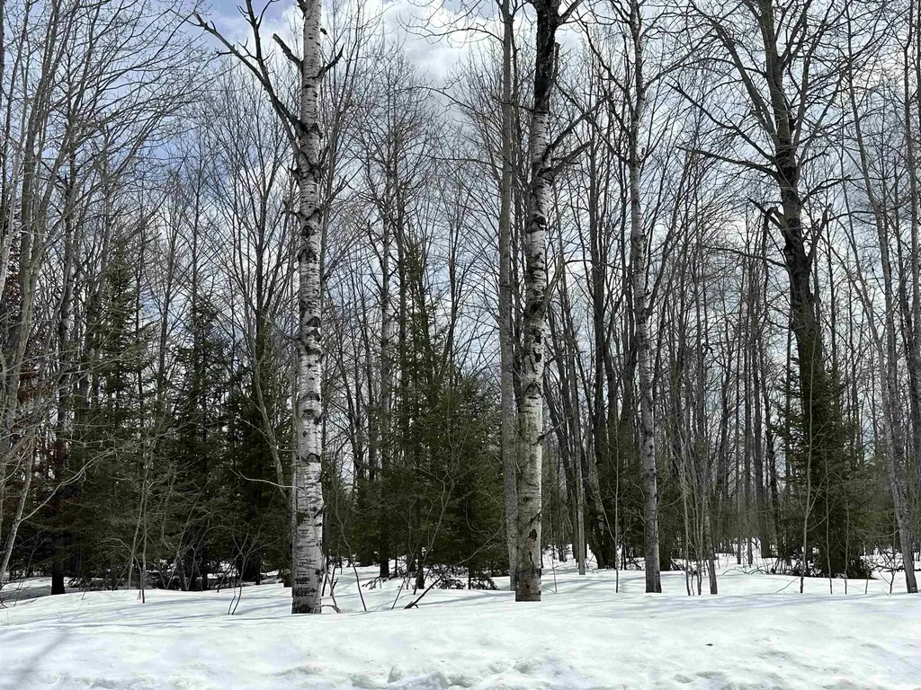 Tbd Thornton Drive Mancelona Township MI 49659