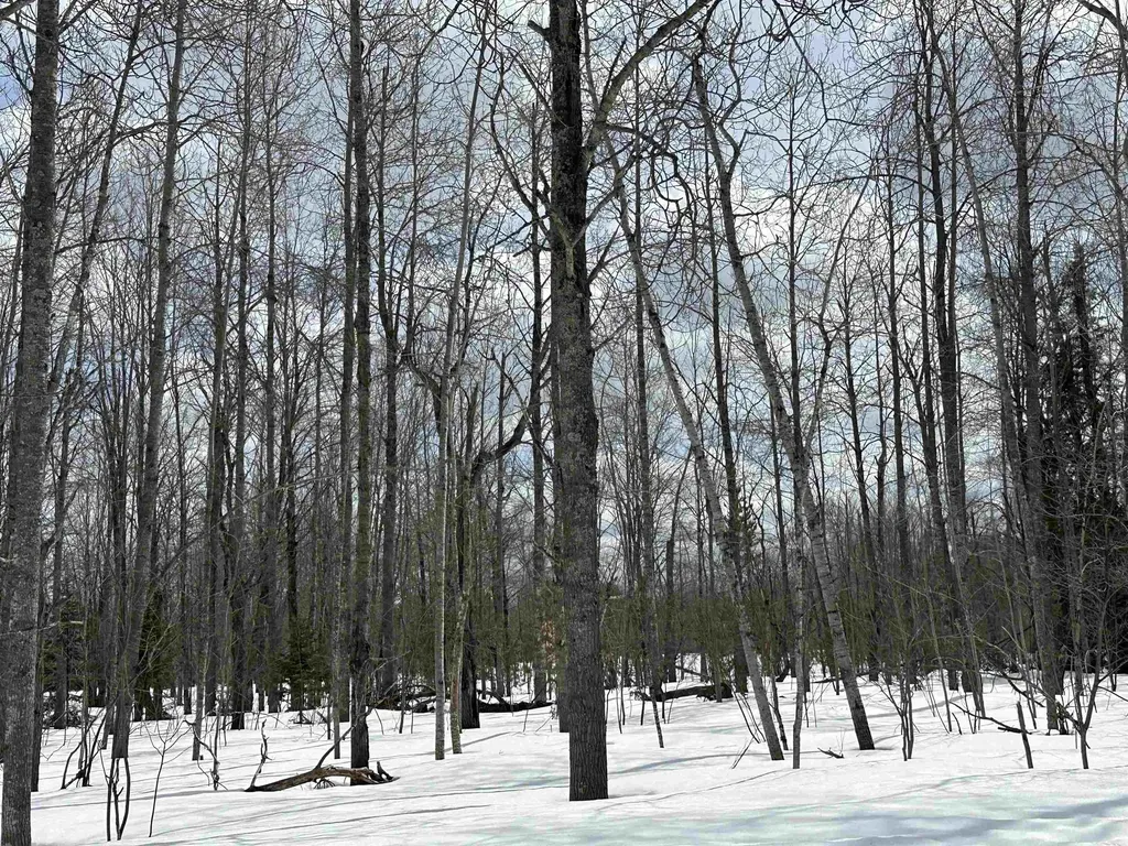 Tbd Thornton Drive Mancelona Township MI 49659