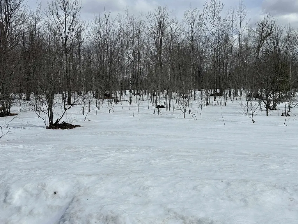 Tbd Clarmont Drive Mancelona Township MI 49659