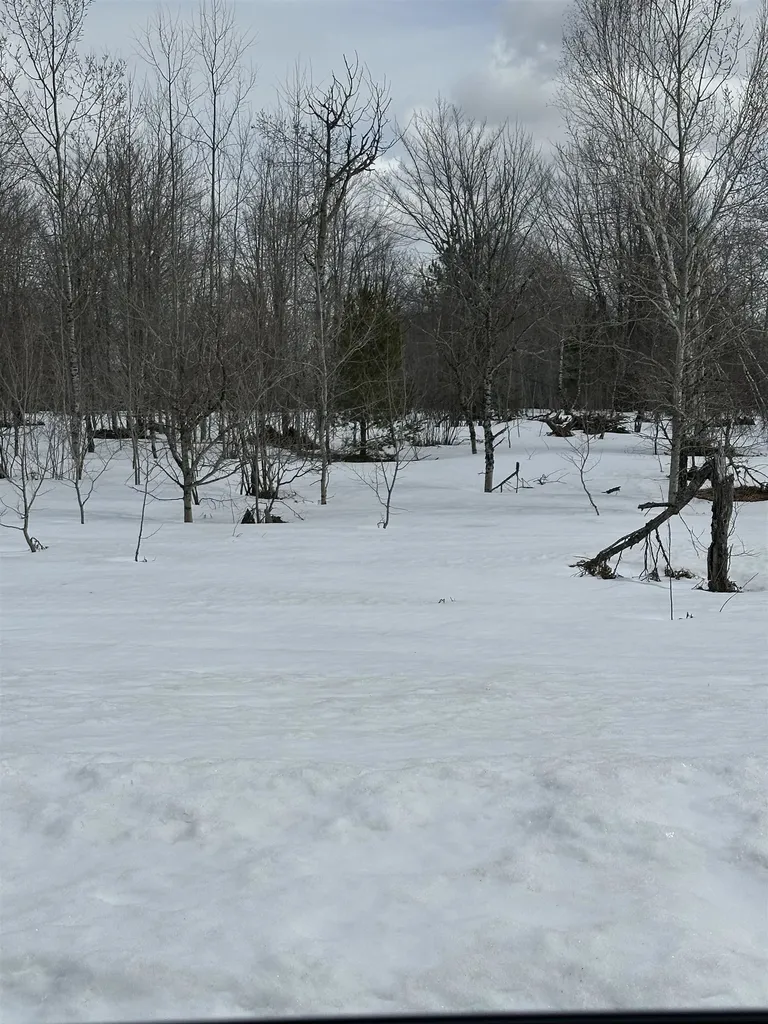 Tbd Clarmont Drive Mancelona Township MI 49659