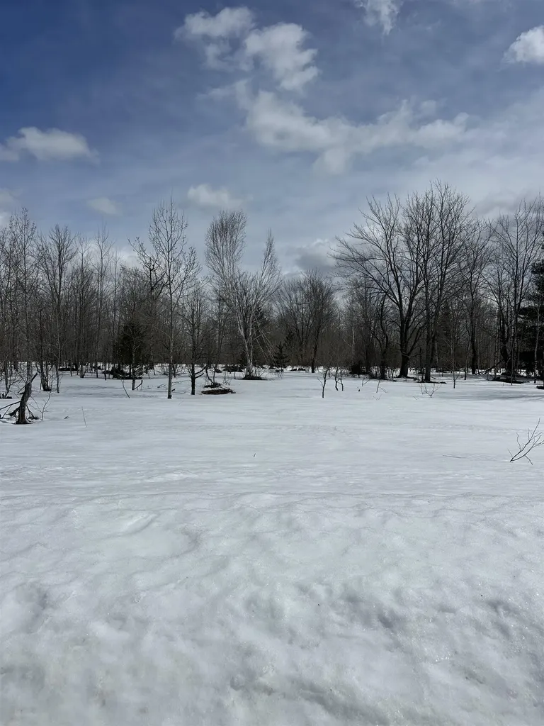 Tbd Clarmont Drive Mancelona Township MI 49659