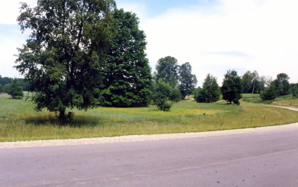 Lot 39 Alden Meadows Helena Township MI 49612