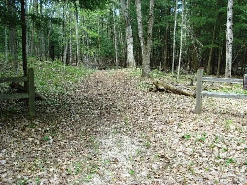 Lot 39 Alden Meadows Helena Township MI 49612