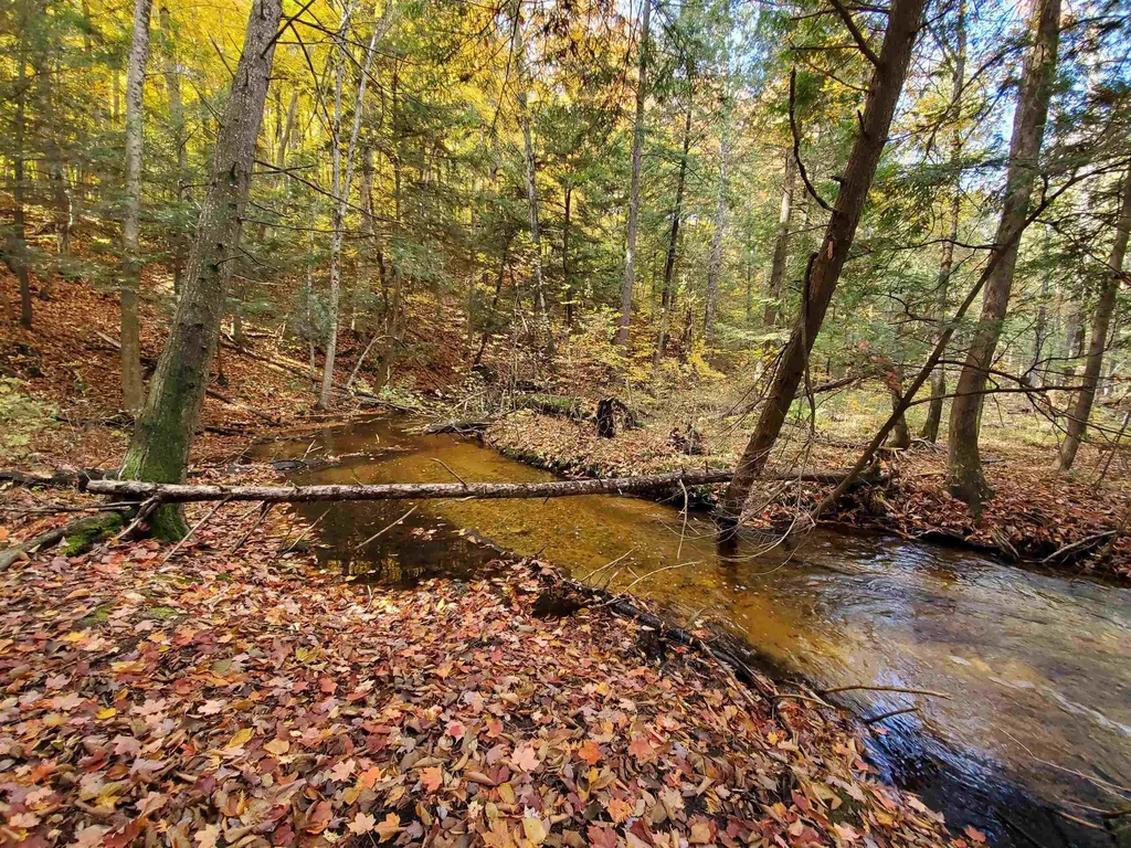 Lot 39 Alden Meadows Helena Township MI 49612