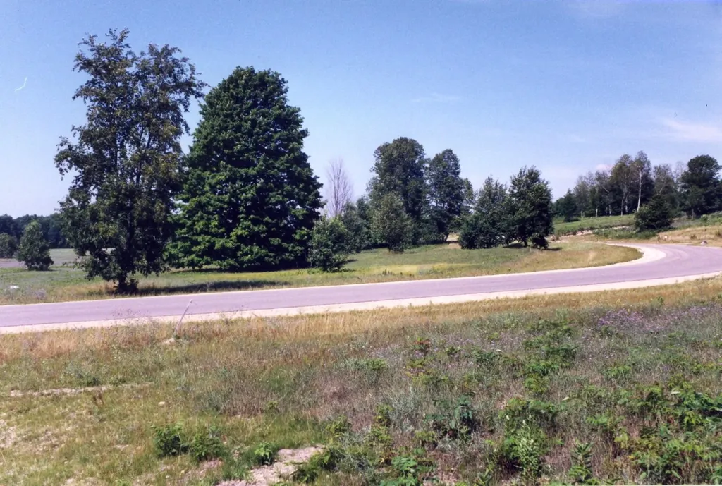 Lot 39 Alden Meadows Helena Township MI 49612