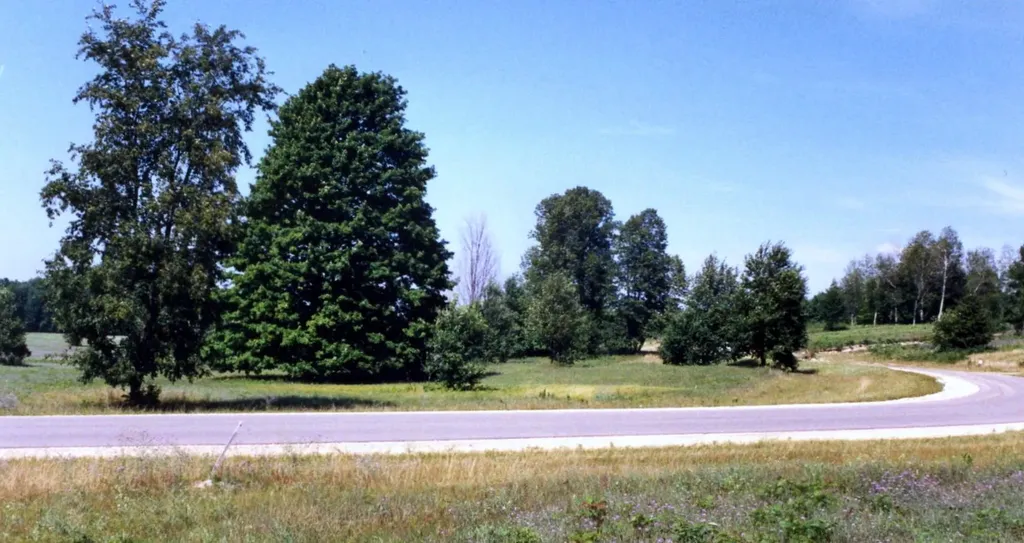 Lot 39 Alden Meadows Helena Township MI 49612