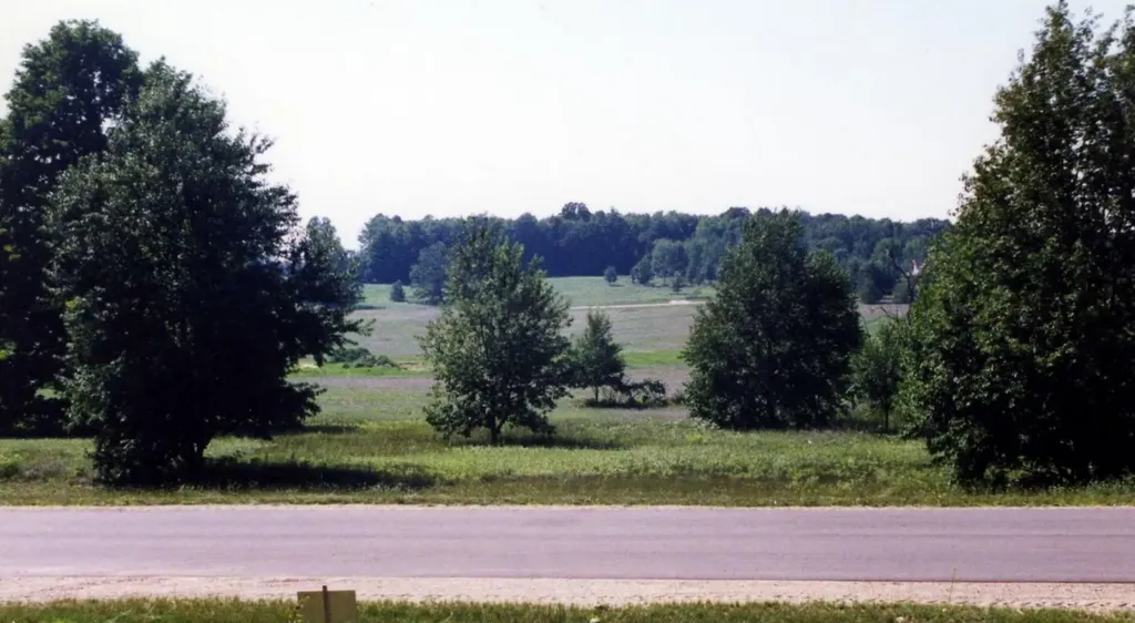 Lot 39 Alden Meadows Helena Township MI 49612