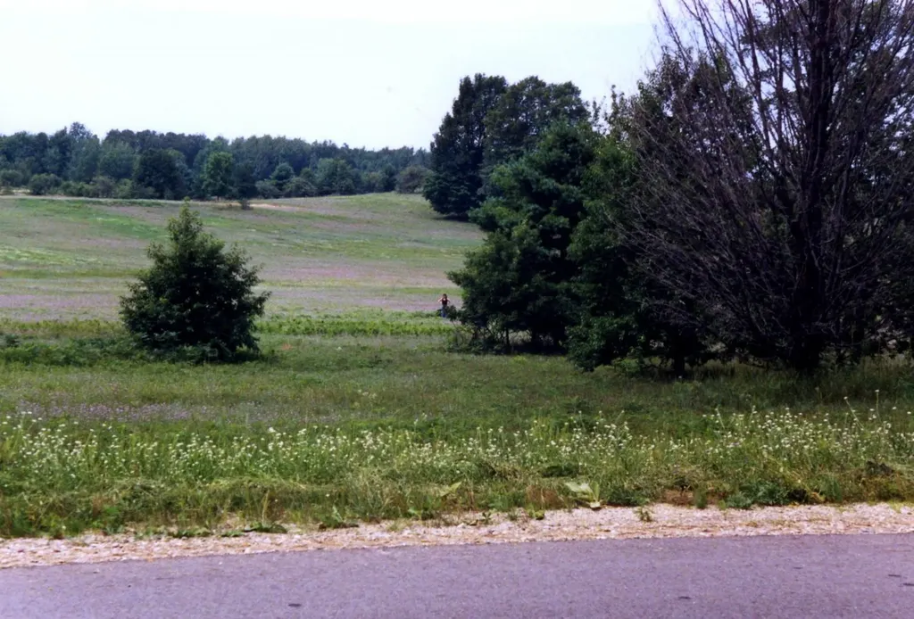 Lot 39 Alden Meadows Helena Township MI 49612