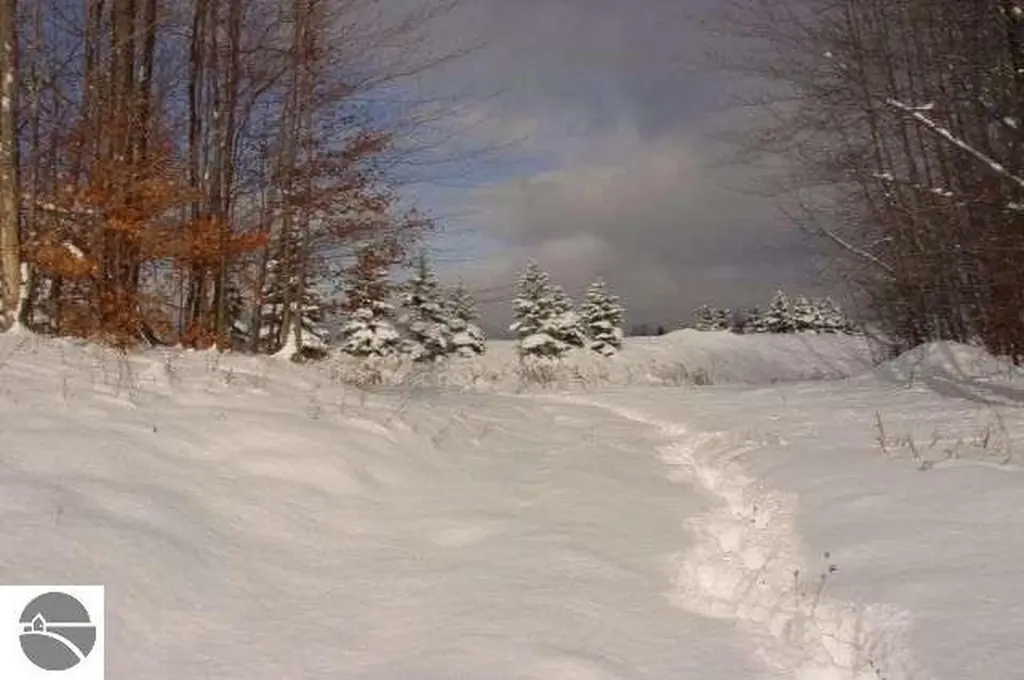 Lot A N Crossover Drive Kearney Township MI 49615