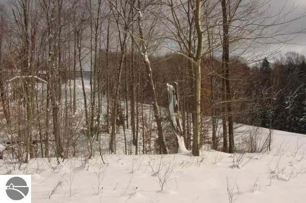 Lot A N Crossover Drive Kearney Township MI 49615