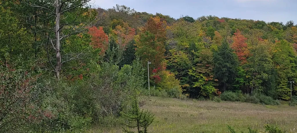 Lot A N Crossover Drive Kearney Township MI 49615
