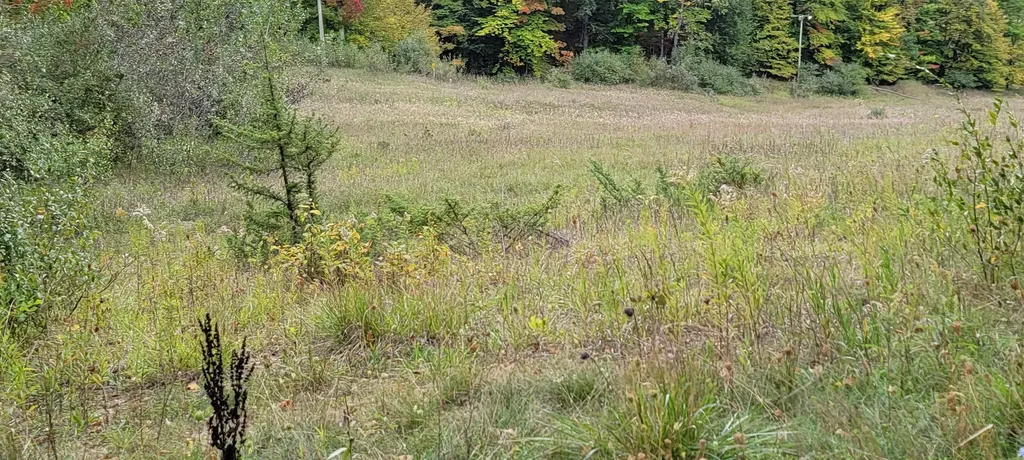Lot A N Crossover Drive Kearney Township MI 49615