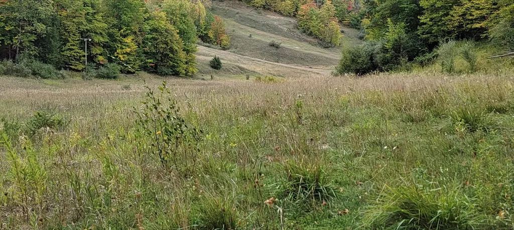 Lot A N Crossover Drive Kearney Township MI 49615