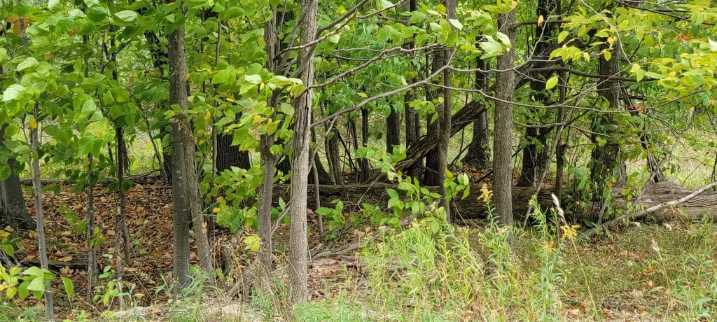 Lot A N Crossover Drive Kearney Township MI 49615