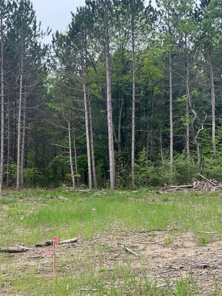 Parcel C Theron Road Blair Township MI 49685