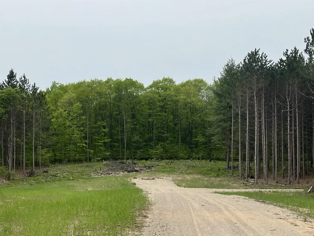 Parcel C Theron Road Blair Township MI 49685