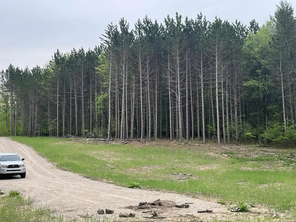 Parcel C Theron Road Blair Township MI 49685