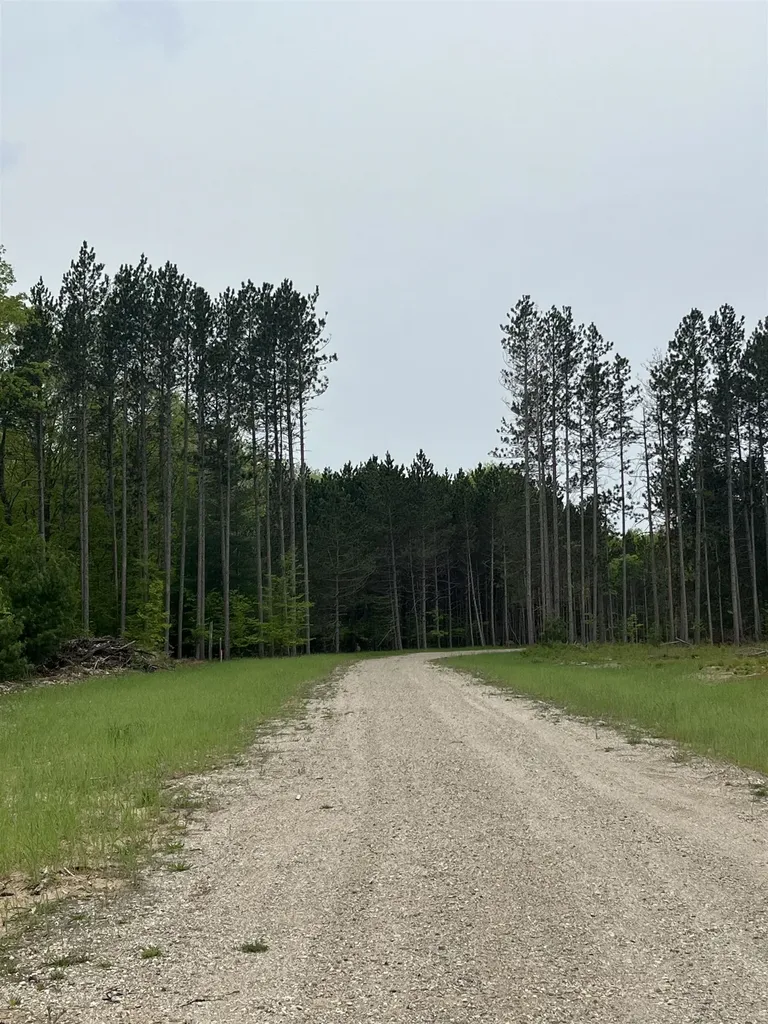 Parcel C Theron Road Blair Township MI 49685