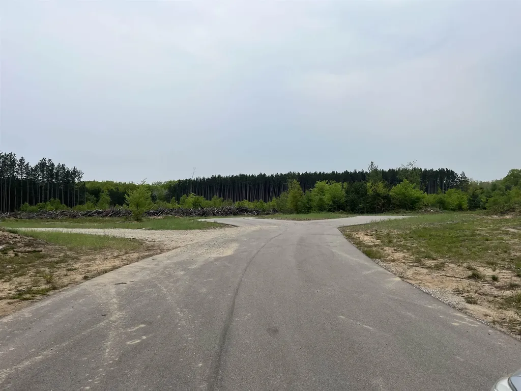 Parcel C Theron Road Blair Township MI 49685
