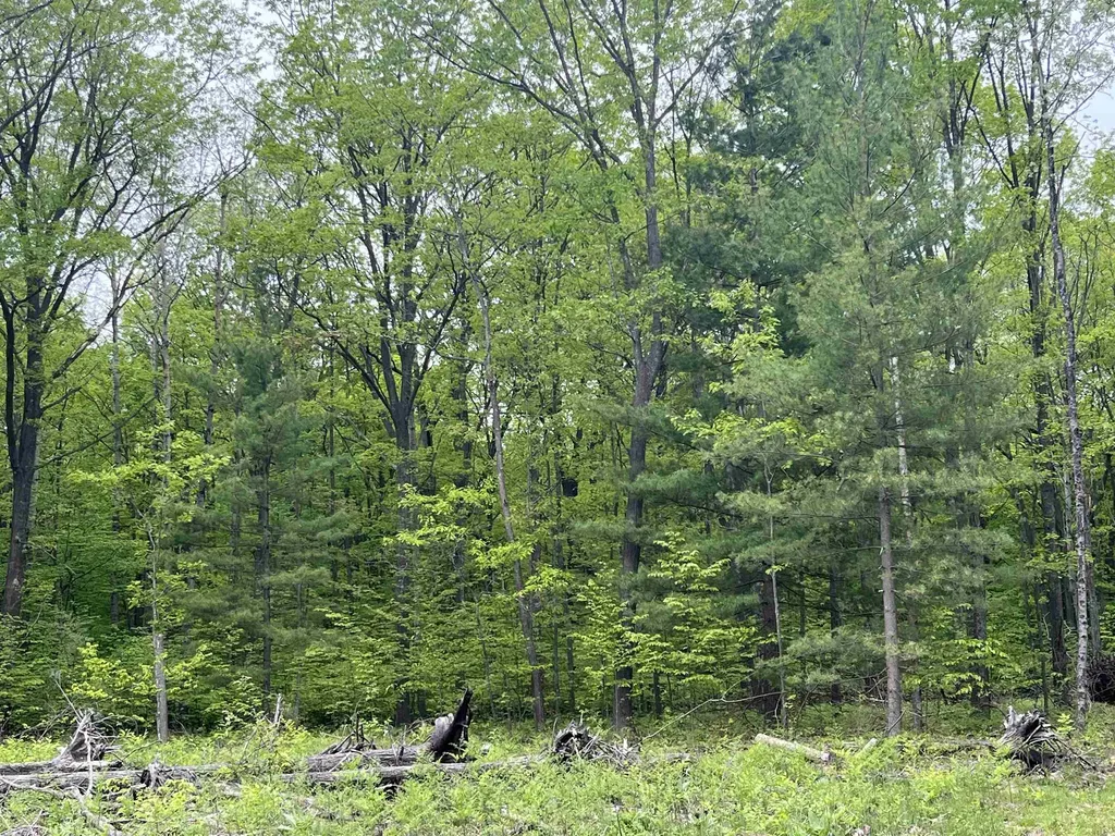 Parcel D Theron Road Blair Township MI 49685