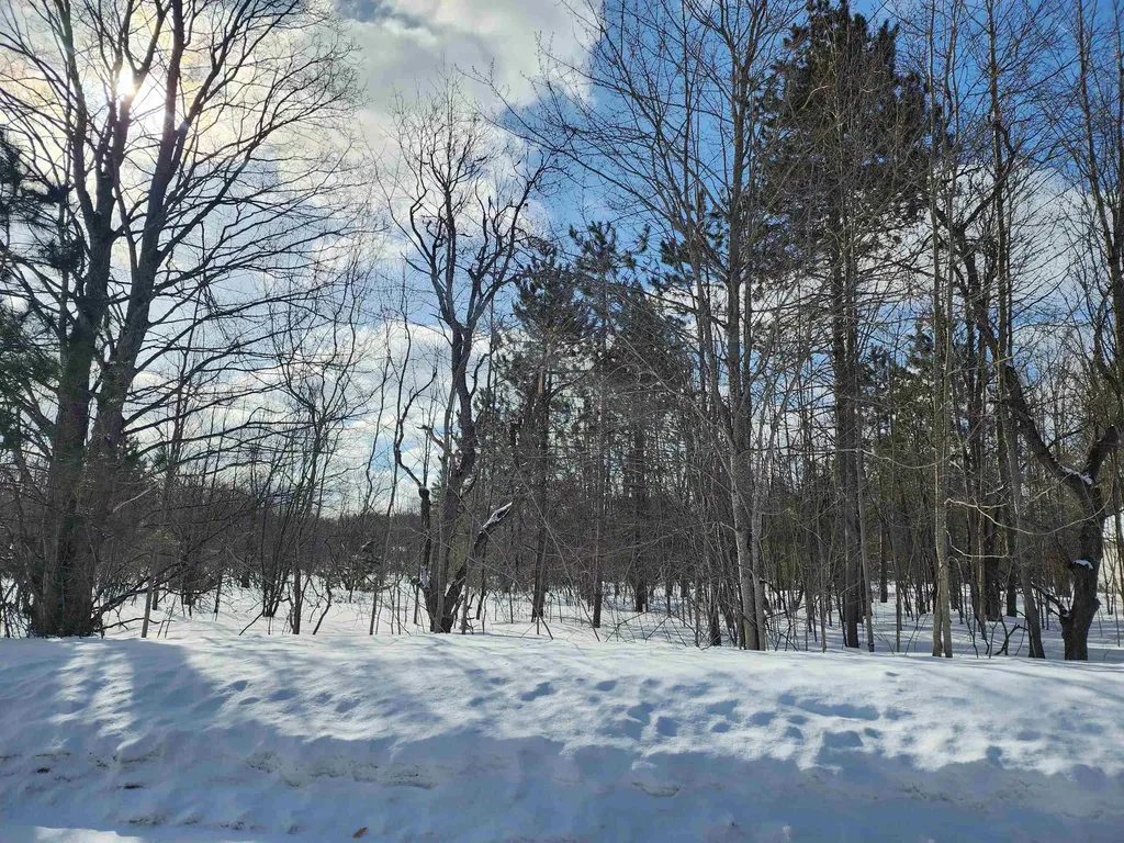 V/l Belmont Drive Mancelona Township MI 49659