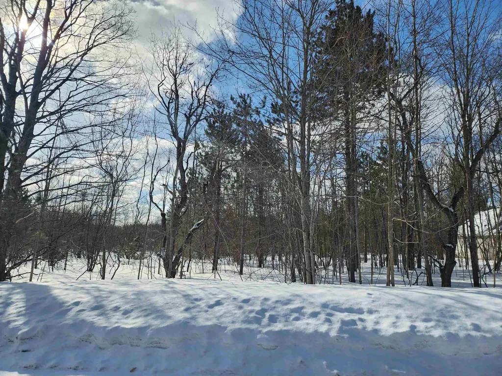 V/l Belmont Drive Mancelona Township MI 49659