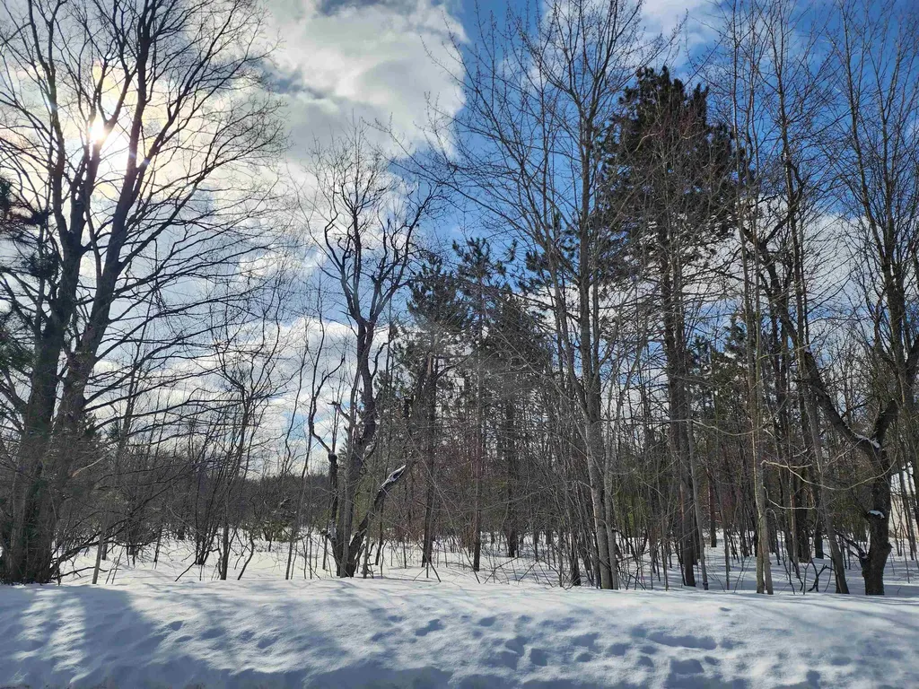V/l Belmont Drive Mancelona Township MI 49659