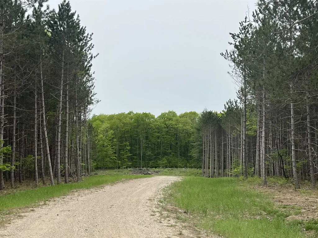 Parcel B Theron Road Blair Township MI 49685