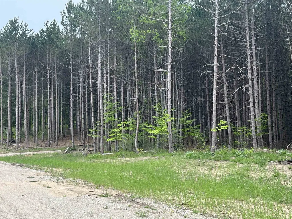 Parcel B Theron Road Blair Township MI 49685