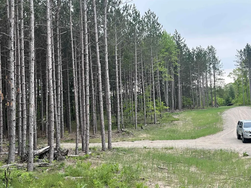 Parcel B Theron Road Blair Township MI 49685