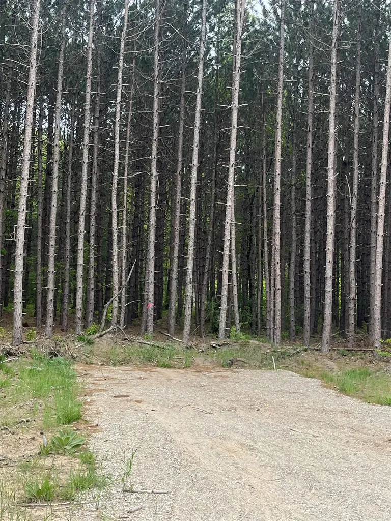 Parcel B Theron Road Blair Township MI 49685