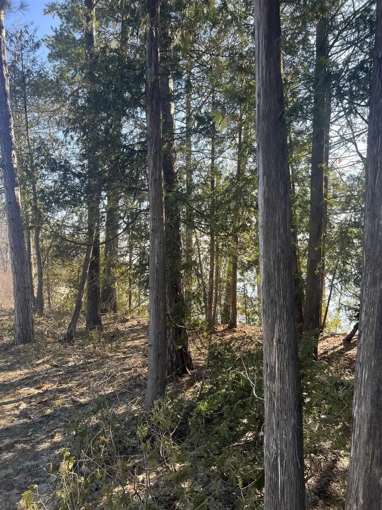 0 M-22 Suttons Bay Township MI 49682