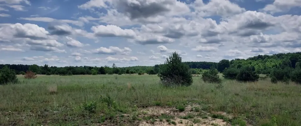 Lot D E Sparling Road Paradise Township MI 49649