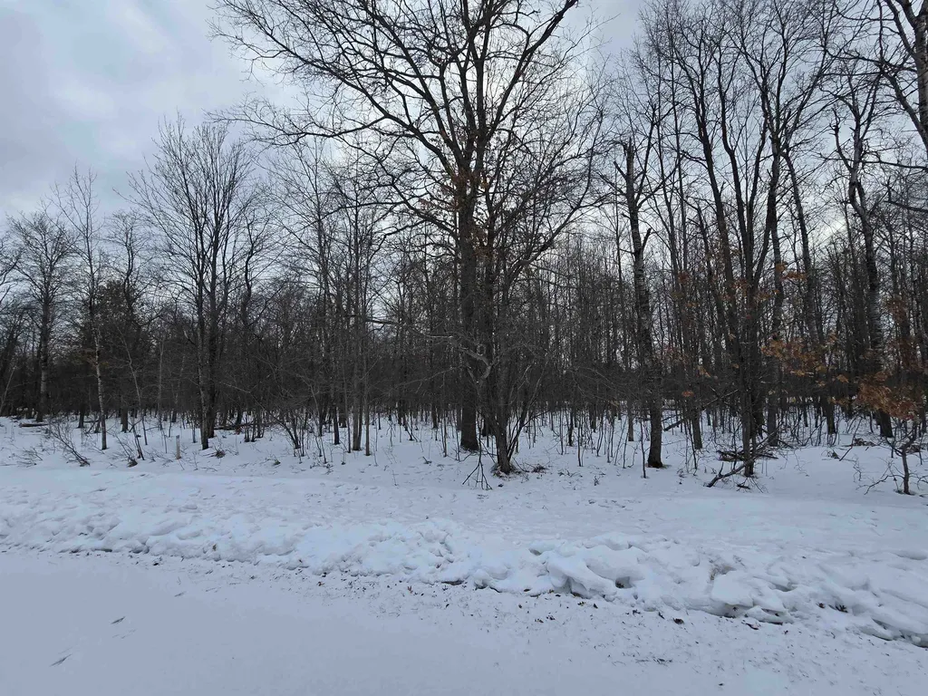 7 Fairway Court Beaver Creek Township MI 49738