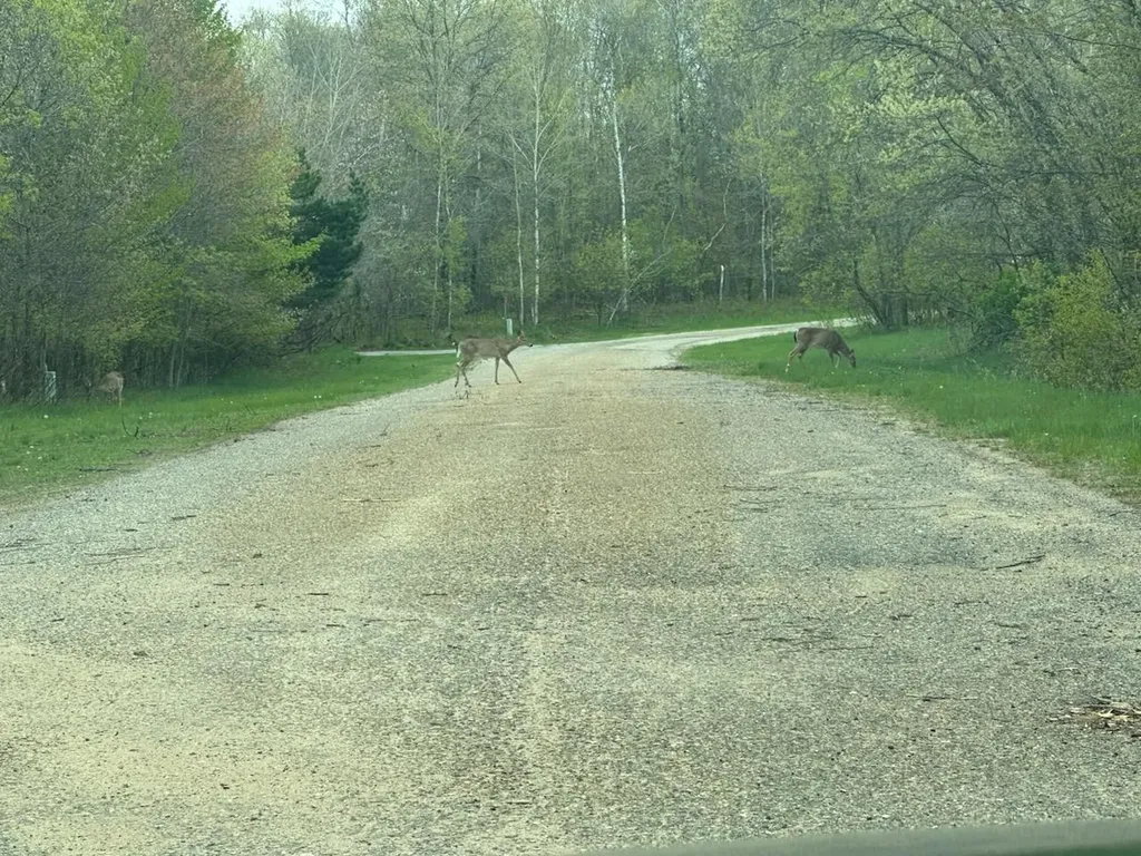 7 Fairway Court Beaver Creek Township MI 49738