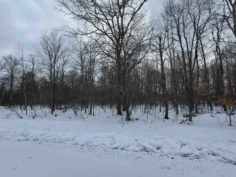 7 Fairway Court Beaver Creek Township MI 49738
