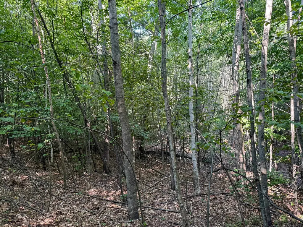 1955 N Blue Water Court Suttons Bay Township MI 49682