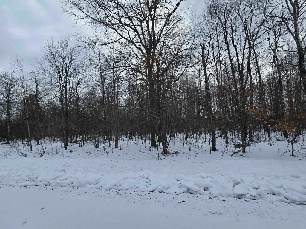 6 Fairway Court Beaver Creek Township MI 49738
