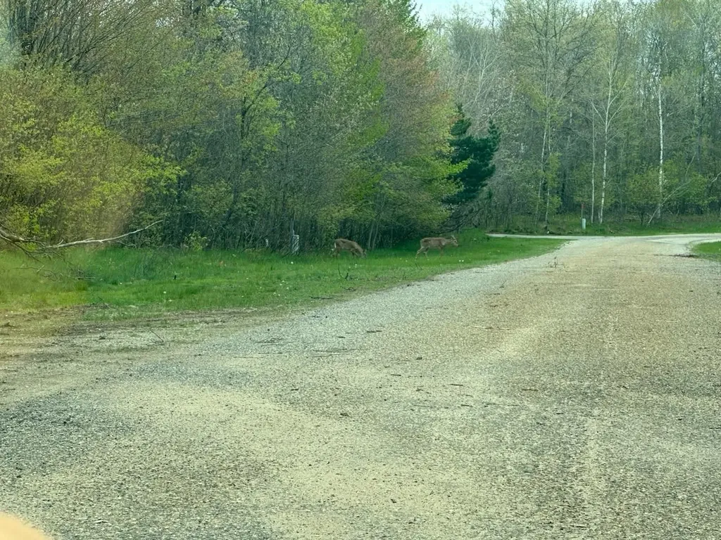6 Fairway Court Beaver Creek Township MI 49738