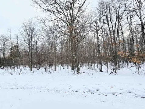 6 Fairway Court Beaver Creek Township MI 49738