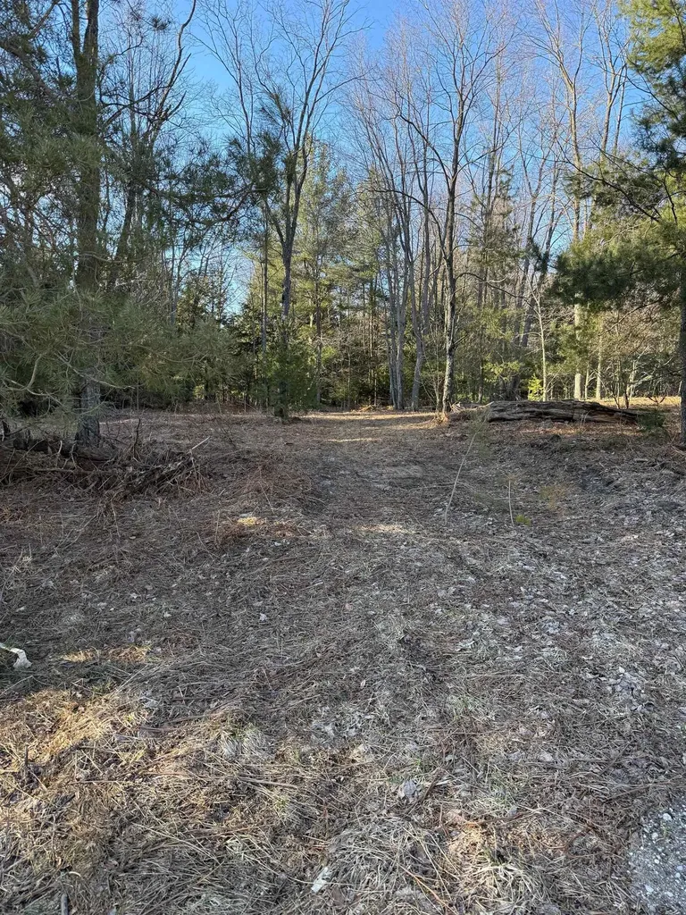 00 Demerly Road Joyfield Township MI 49616