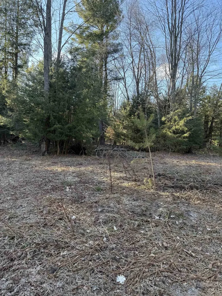 00 Demerly Road Joyfield Township MI 49616