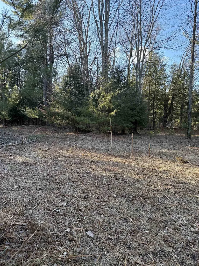 00 Demerly Road Joyfield Township MI 49616