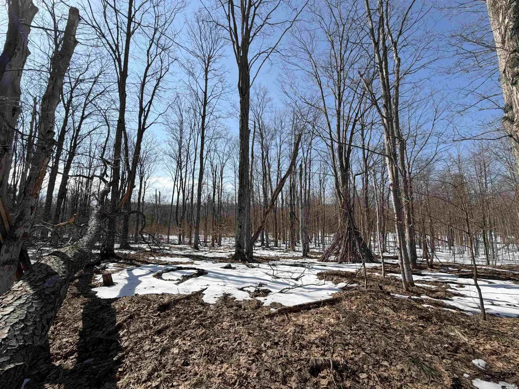 S Drew Road Empire Township MI 49630