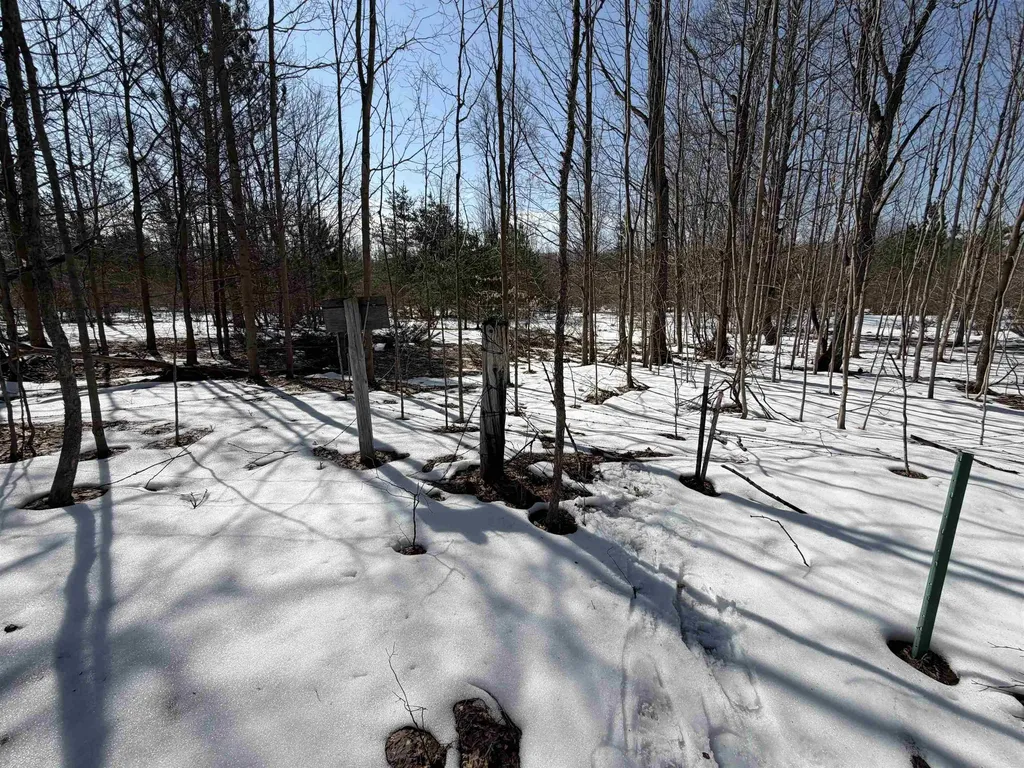 S Drew Road Empire Township MI 49630