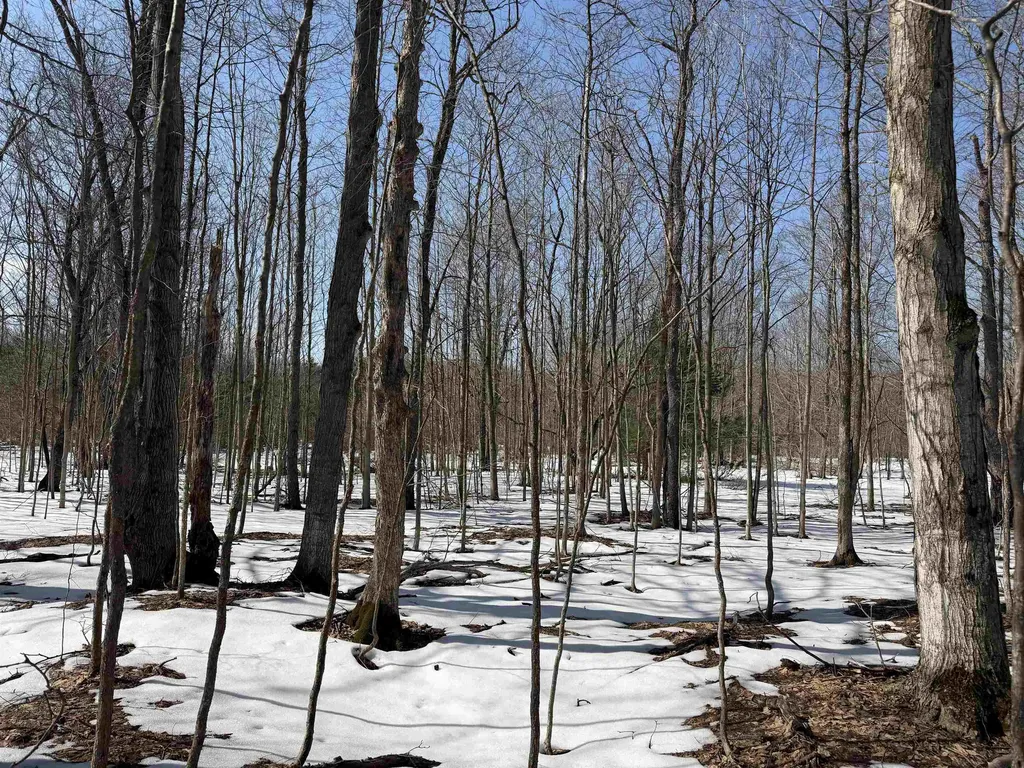 S Drew Road Empire Township MI 49630