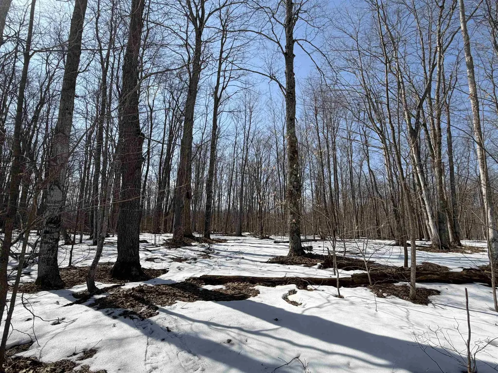 S Drew Road Empire Township MI 49630