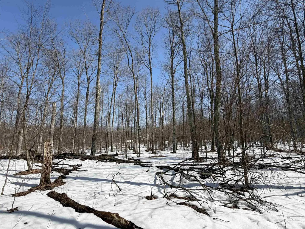S Drew Road Empire Township MI 49630