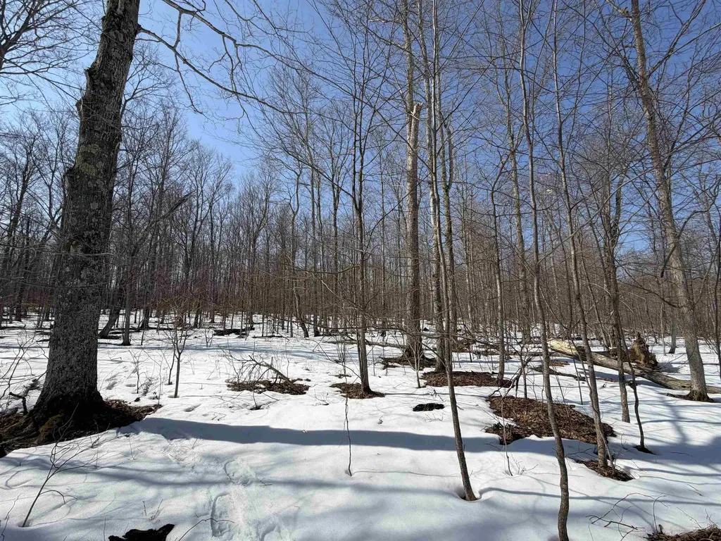 S Drew Road Empire Township MI 49630